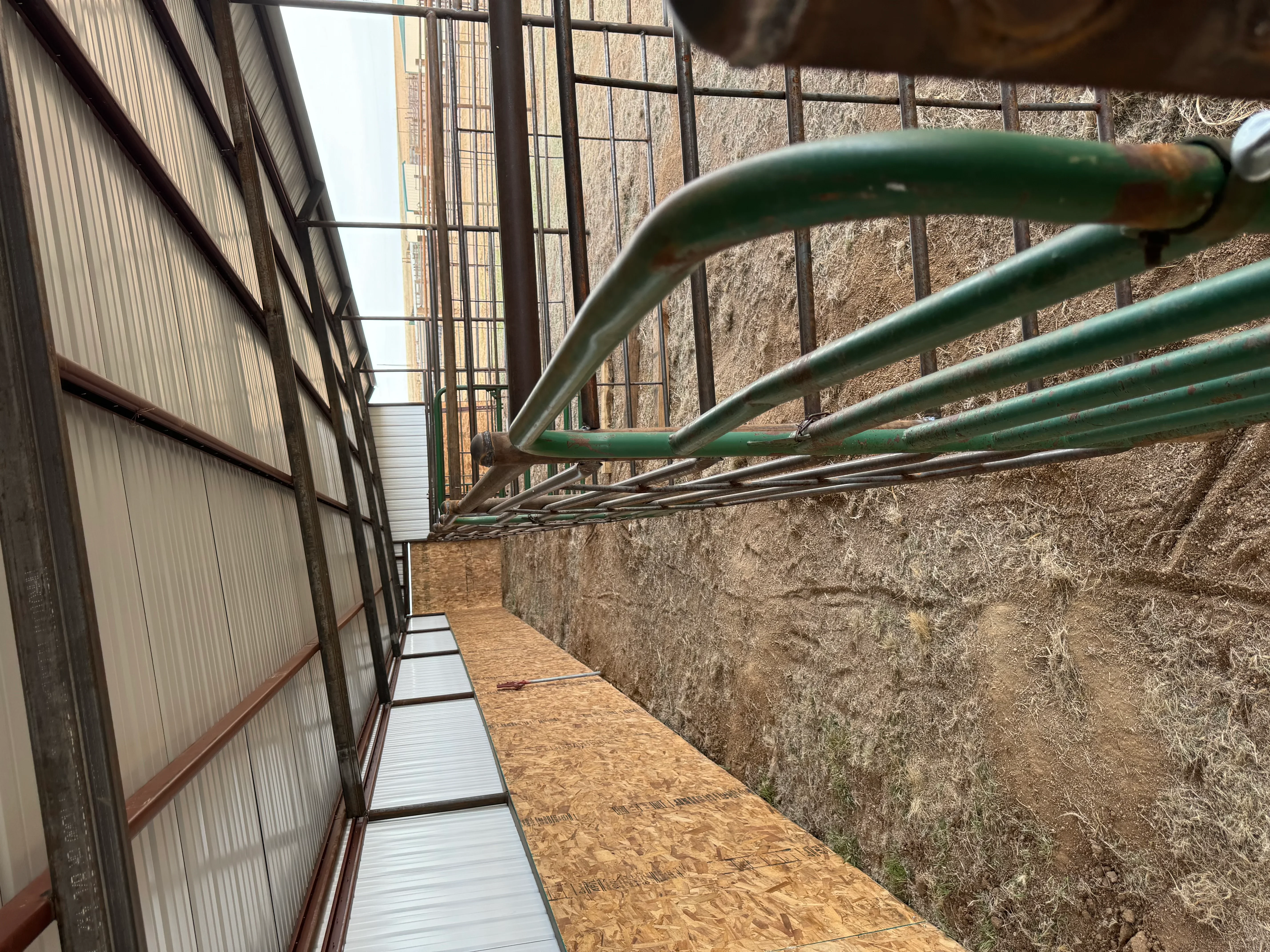 Green metal pipe railings and gates in livestock facility with corrugated metal building and concrete walls