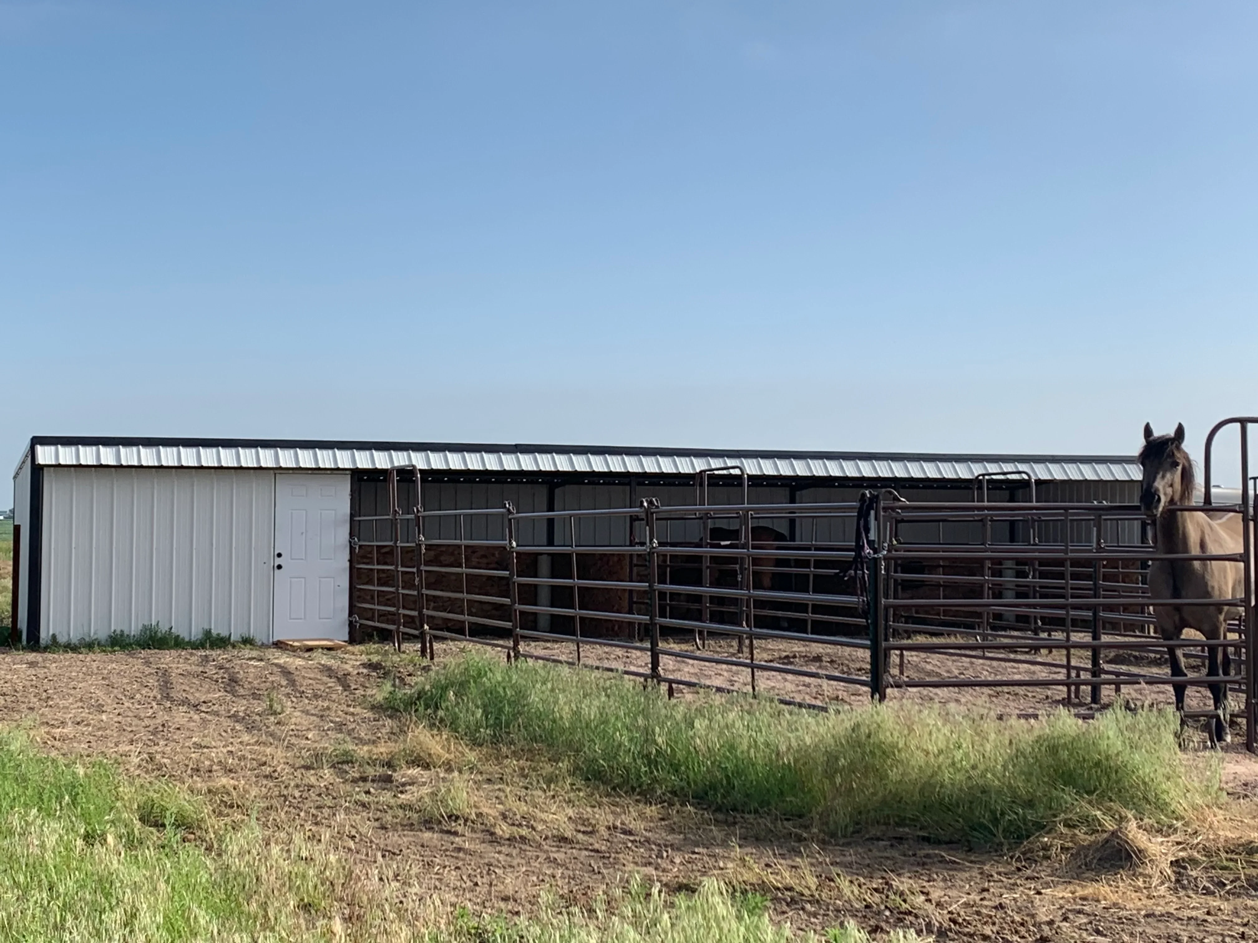 Metal building with white corrugated walls and steel livestock pens with welded gates