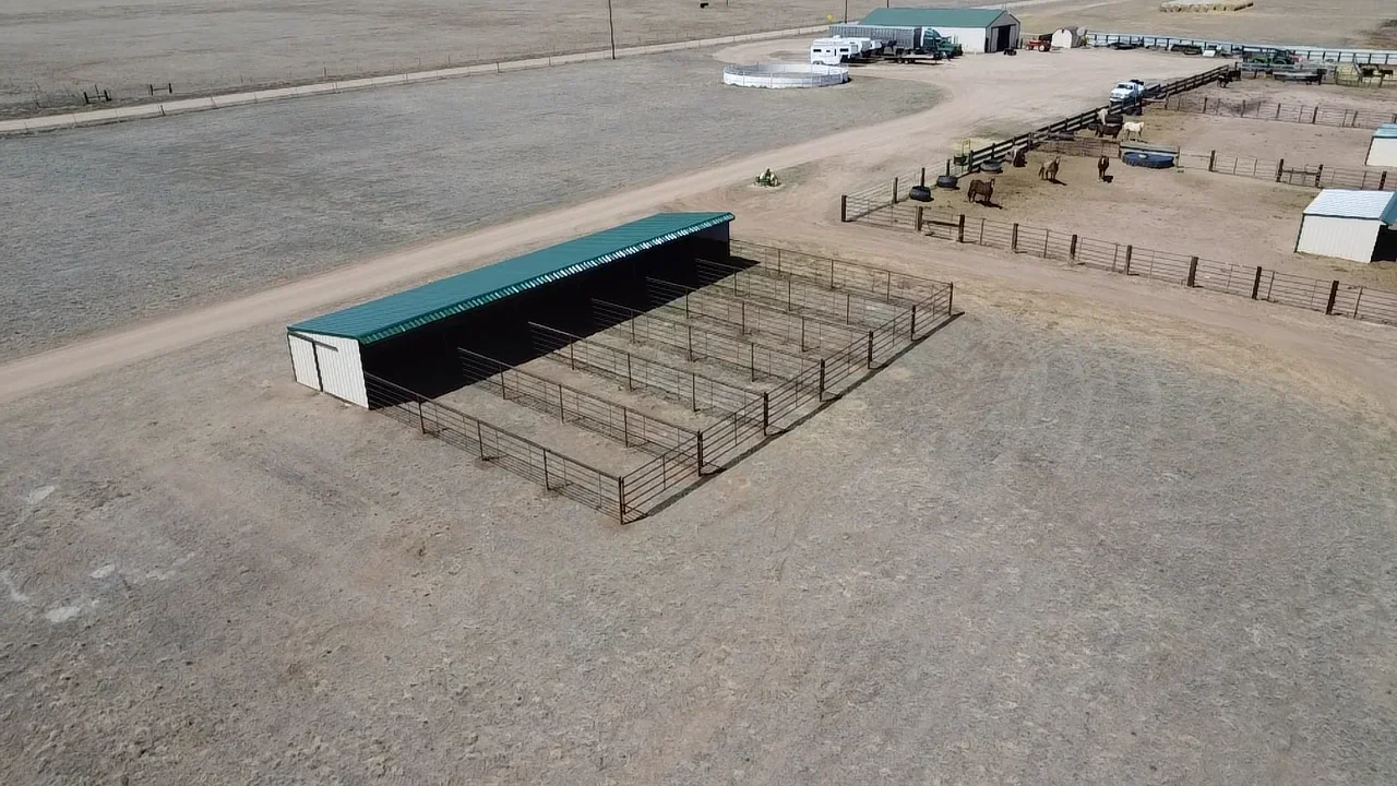 Metal shelter with turquoise roof and white panels adjacent to steel livestock pens and gates